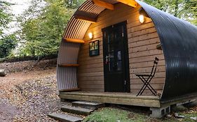 Ballybeg Pod 9